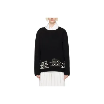 COMME Des GARCONS HOMME PLUS Sweater Women's Black