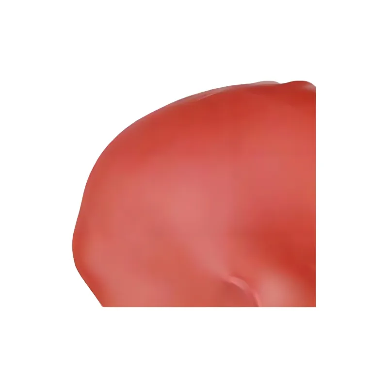Speedo Swimming Caps Silicone Kids' Red-4