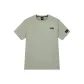 Light Gray Green