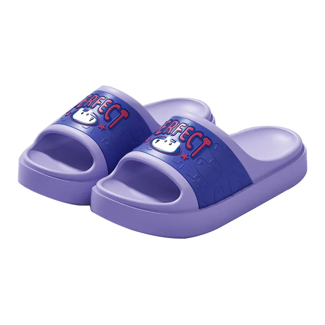 The Fat Dragon Is Here Home Slippers-4