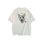 White Heather Gray (Curious Kitten)