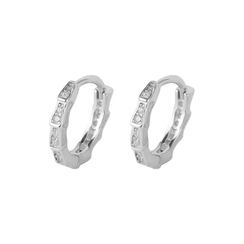 Universe Search Zircon Earrings Unisex