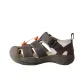 Gray Brown
