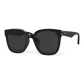 Obsidian Black[91678]