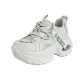 Silver Gray