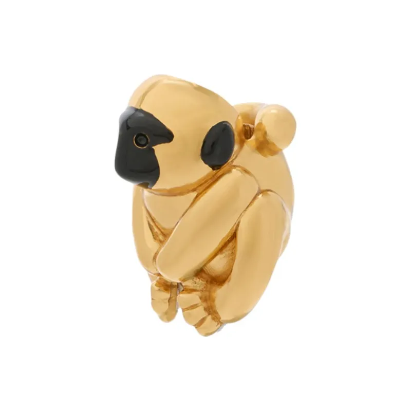 LOEWE Brass Accessories Women's Gold-0