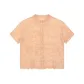 Warm Orange