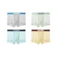 4 Pack (Silver Gray+Mint+Ocean Blue+Dynamic Yellow)