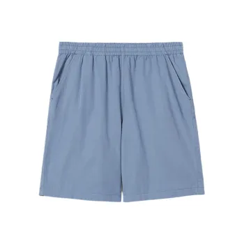 LACOSTE Casual Shorts Men's Gray Blue