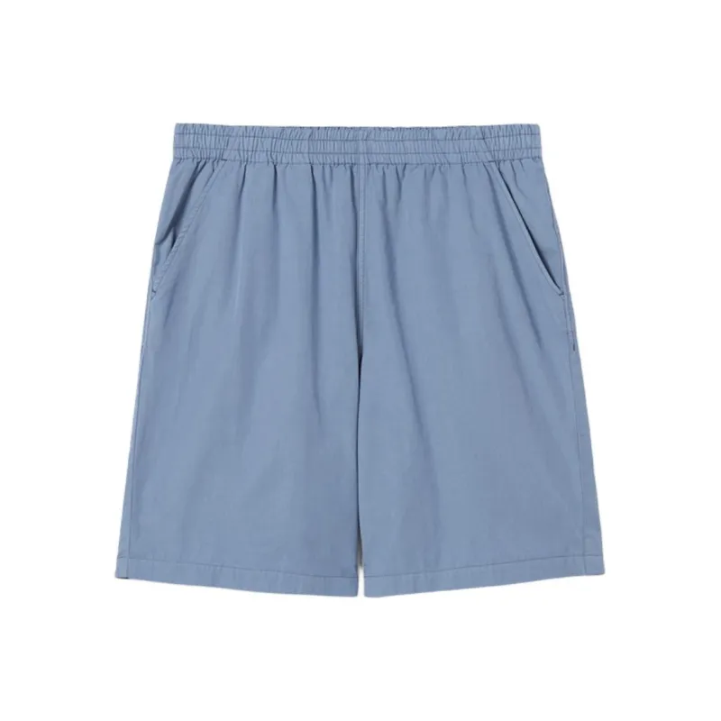 LACOSTE Casual Shorts Men's Gray Blue-0