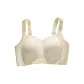Champagne White