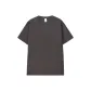 Iron Gray
