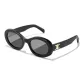 Black Frame with Black Gray Lens