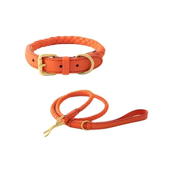 LVXUN Leashes