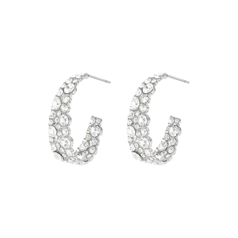 Suddenly Lucky Alloy Earrings Women's-0