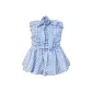 Blue Plaid