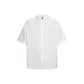 White (Imitation Embroidery)