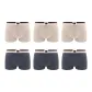6 Pack (Apricot 3+Dark Gray 3)