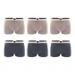 6 Pack (Milk Coffee 3+Dark Gray 3)