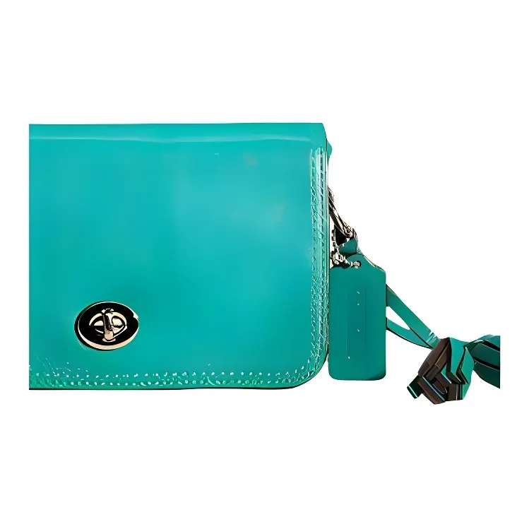 COACH Penny Glove Tanning Envelope Bag Crossbody Bag Shoulder Bag Women's Emerald-2