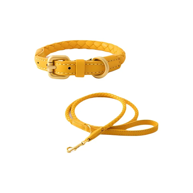 LVXUN Leashes-0