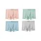 4 Pack (Begonia Pink+Mint Green+Clearwater Blue+Mist Gray)