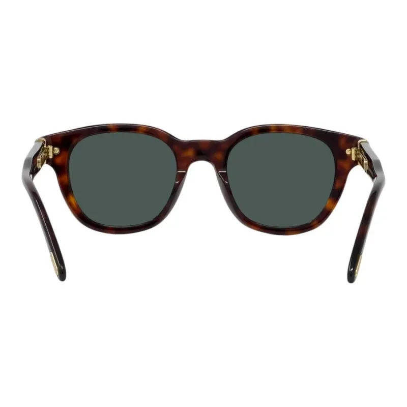 FRED Acetate Irregular Shape Sunglasses Unisex Tortoiseshell-3