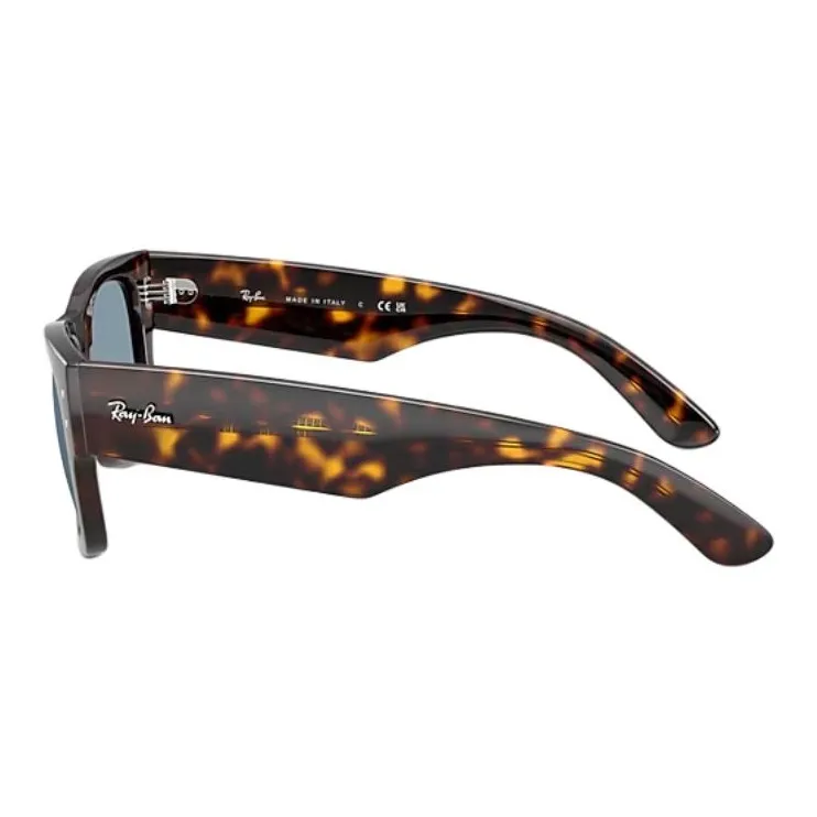 RayBan Mega Wayfarer Sunglasses-1