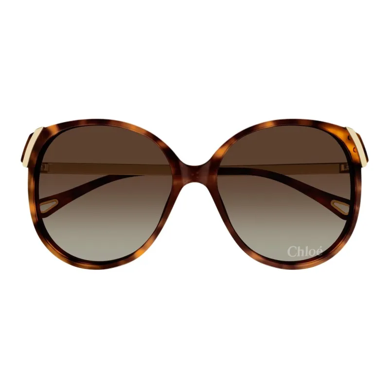 Chloe Acetate Oval Sunglasses Women's Tortoiseshell-1