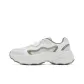 White Antarctic Gray