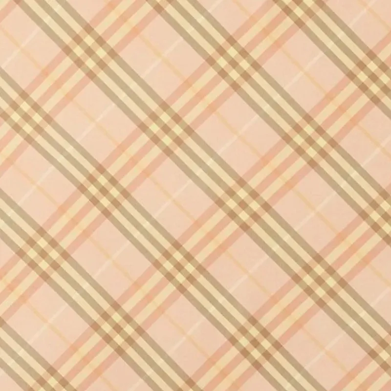 Burberry Silk Scarves Women's Pink-2