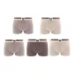 5 Pack (Milk Coffee 2+Apricot 2+Coffee)
