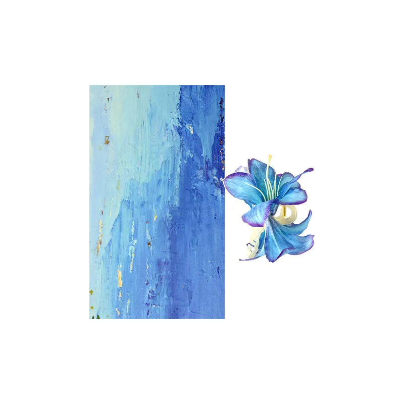 Crafts Women's Acrylic Hair Clips Women's-2