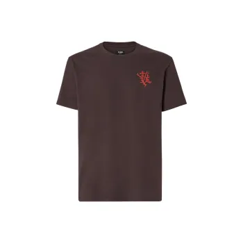 FENDI T Shirts Men Brown