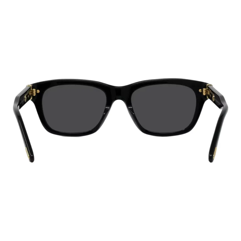 FRED Acetate Irregular Shape Sunglasses Unisex Black-1