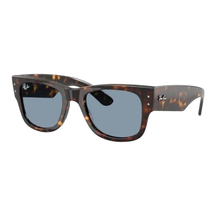 RayBan Mega Wayfarer Sunglasses-2