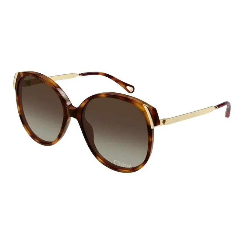 Chloe Acetate Oval Sunglasses Women's Tortoiseshell-0