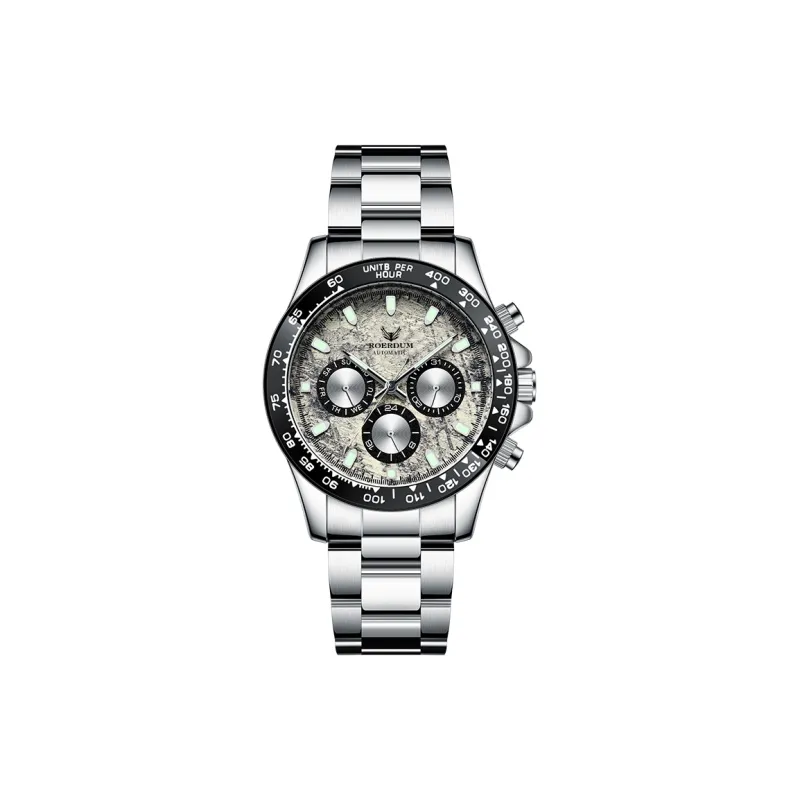ROERDUM Ditan Collection Mechanical Movement Stainless Steel Watchband Watch Men's Watches Silver Dial-1
