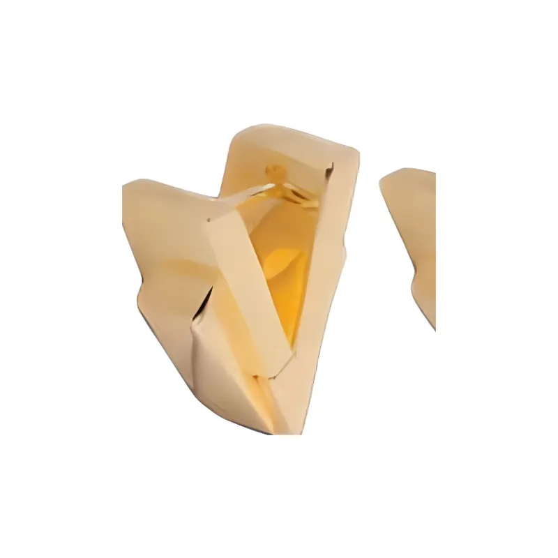 Bottega Veneta Silver Earrings Women's Gold-2