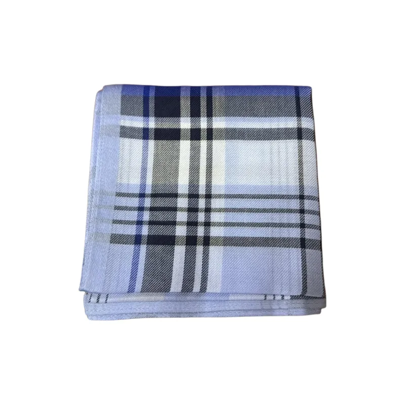 Ralph Lauren Silk Scarves Men's Blue-1