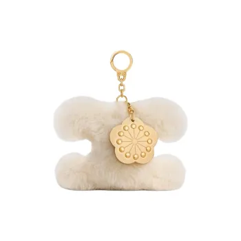 CELINE Triomphe Shearling Bag Accessory Women's Beige