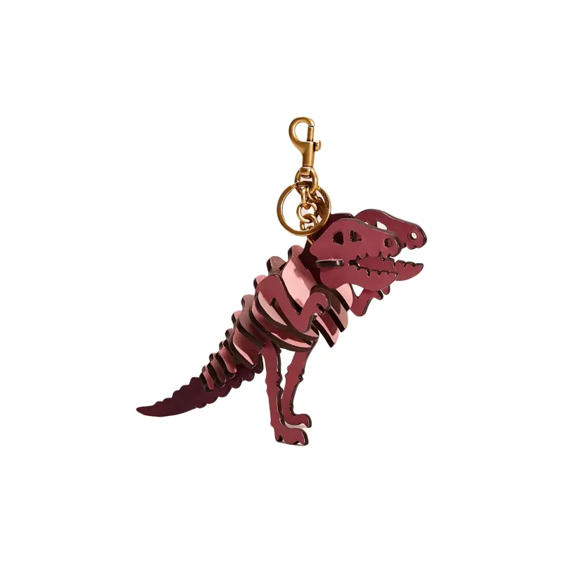 COACH Rexy Bag Accessories-0