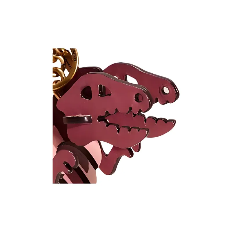 COACH Rexy Bag Accessories-3