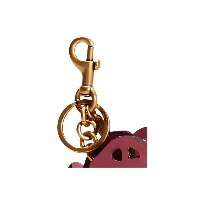 COACH Rexy Bag Accessories-1
