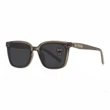 Green frame gray flakes (polarizers)
