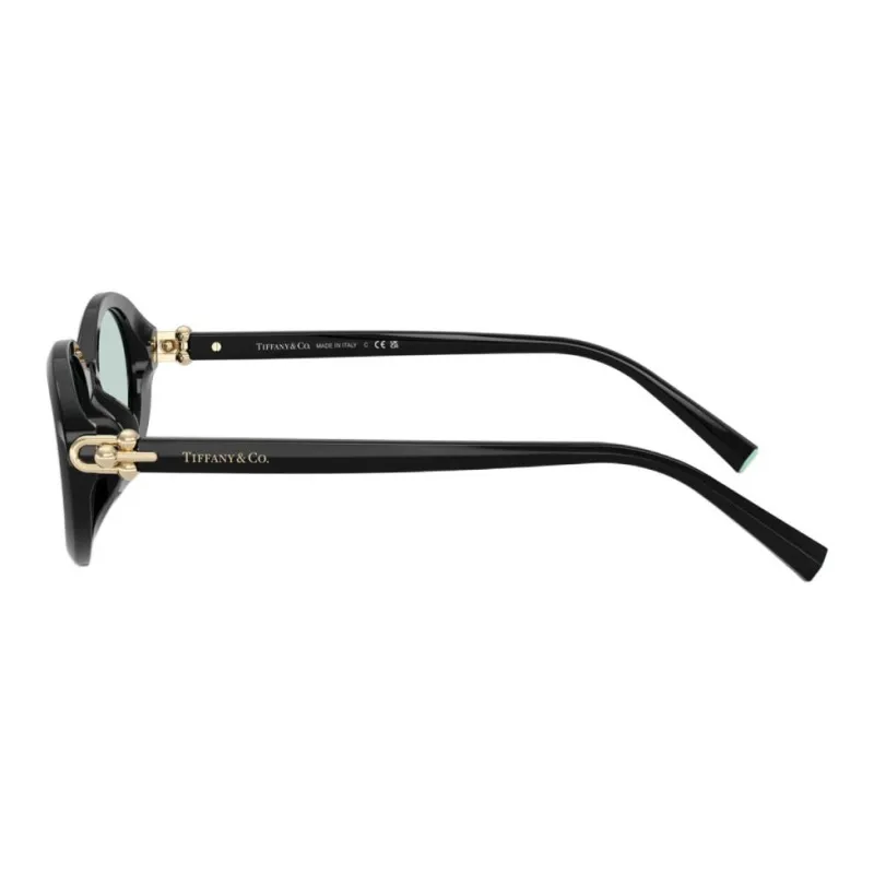 TIFFANY & CO. Acetate Ester Oval Sunglasses Women's Black-5
