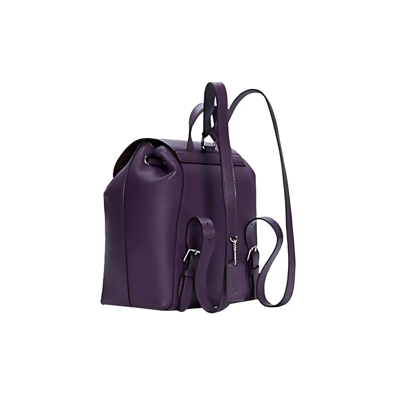 COACH Kleo Backpacks-1