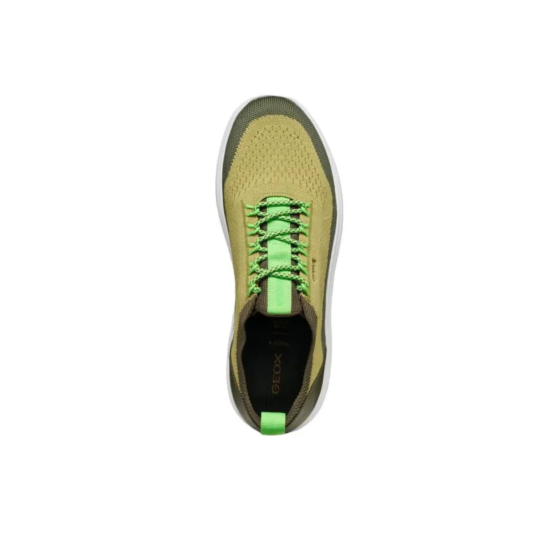 GEOX Spherica Low Top Casual Shoes Men's Green-6