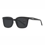 Black Frame with Gray Lens (Standard Lens)