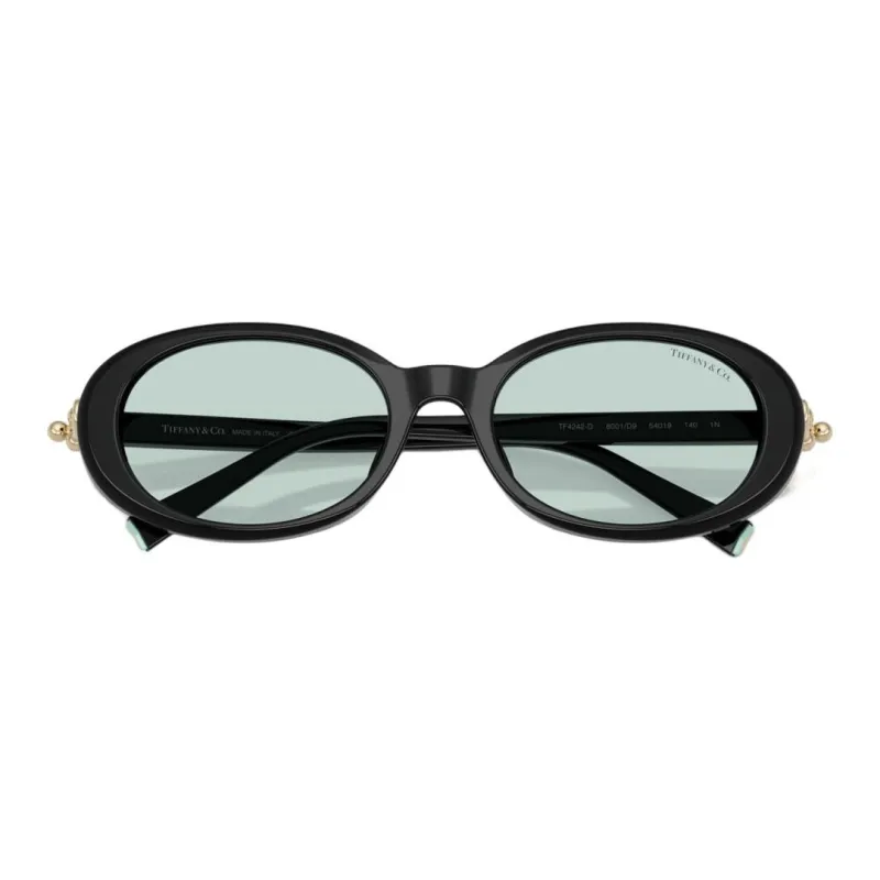 TIFFANY & CO. Acetate Ester Oval Sunglasses Women's Black-3